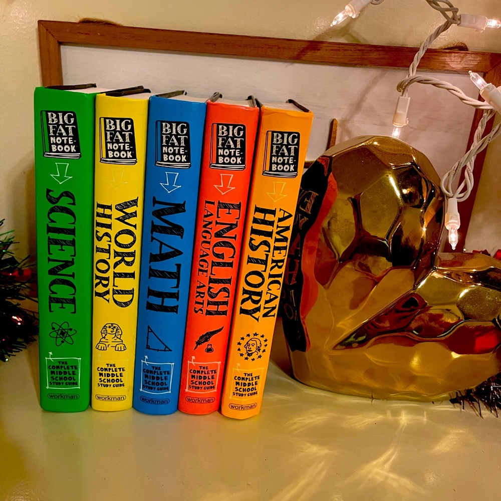 Everything u need to know book set (5)